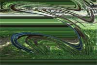 girl with baby donkeys, very distorted